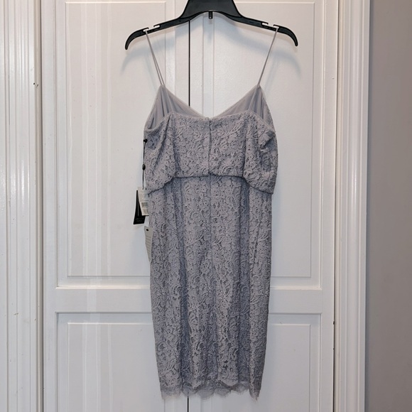 ✨ Adrianna Papell ✨ NWT Guipure Lace Blouson Dress Light Dove Size 6 - Picture 3 of 10
